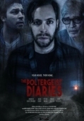 Постер Дневники полтергейста  (2021)
