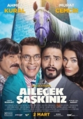 Постер Безумная семейка (2018)