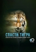 Постер Спасти тигра (2019)