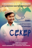 Постер Секер (2009)