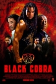 Постер Черная кобра (2012)