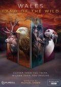 Постер Уэльс: дикая земля (2019)