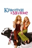 Постер Красотки в молоке (2006)