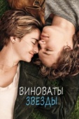 Постер Виноваты звезды (2014)