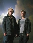 Постер Очевидец (1981)