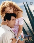 Постер Очищенная любовь (2007)