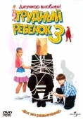 Постер Трудный ребенок 3 (1995)