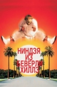 Постер Ниндзя из Беверли Хиллз (1997)