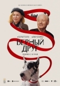 Постер Верный друг (2024)