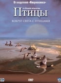 Постер Птицы (2001)