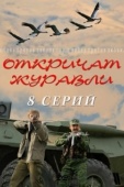 Постер Откричат журавли (2009)