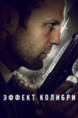 Постер Эффект колибри (2012)