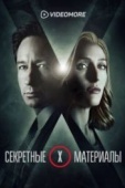 Постер Секретные материалы (2015)