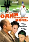 Постер Один в новогоднюю ночь (2006)