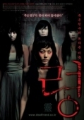 Постер Привидение (2004)