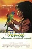 Постер Поли (1998)