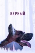 Постер Верный (2016)