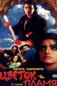 Постер Цветок и пламя (1993)