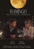 Постер Фламинго (2020)
