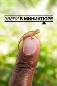 Постер Звери в миниатюре (2017)