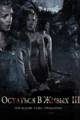 Постер Остаться в живых 3 (2010)