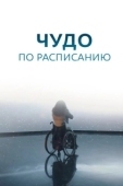 Постер Чудо по расписанию (2016)