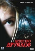 Постер Братство друидов (2003)