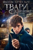 Постер Фантастические твари и где они обитают (2016)