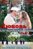 Постер Любовь как несчастный случай (2012)