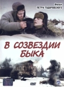 Постер В созвездии быка (2003)