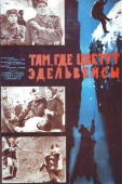 Постер Там, где цветут эдельвейсы (1965)