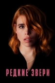Постер Редкие звери (2019)