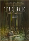 Постер Тигр (2017)