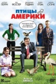 Постер Птицы Америки (2008)