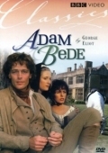 Постер Адам Бид (1991)