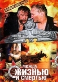 Постер Между жизнью и смертью (2003)