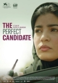 Постер Идеальный кандидат (2019)