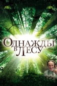 Постер Однажды в лесу (2013)