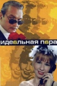 Постер Идеальная пара (2001)