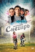 Постер Снегирь (2009)