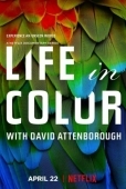 Постер Жизнь в цвете с Дэвидом Аттенборо (2021)