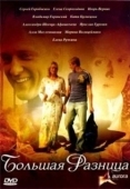 Постер Большая разница (2008)