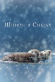 Постер Шпион в снегах (2018)