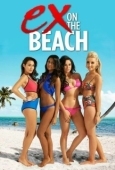 Постер Экс на пляже (2014)