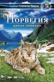 Постер Норвегия 3D: Дикая природа (2013)