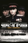 Постер Чёрные волки (2011)