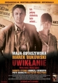 Постер Запутанность (2011)