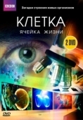 Постер BBC: Клетка (2009)