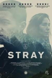 Постер Заблудшие (Stray)