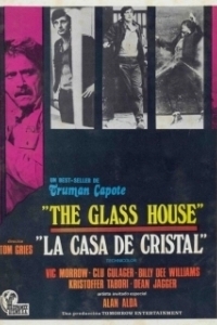 Постер Стеклянный дом (The Glass House)